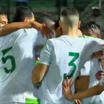 Eliminatoires CAN 2019 : Algérie 1 – Gambie 1 , les verts ne sont pas encore mûrs, vidéo Eliminatoires CAN 2019 : Algérie 1 – Gambie 1 , les verts ne sont pas encore mûrs, vidéo