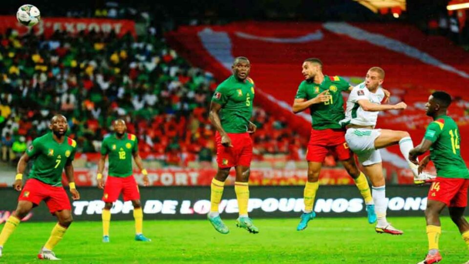 slimani goal cameroun