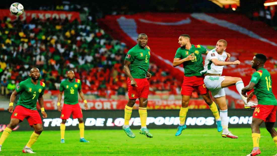 Algérie – Cameroun : Rien n’est encore joué malgré une précieuse victoire des Verts au Japoma Stadium