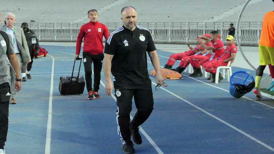 belmadi