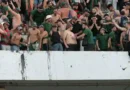 MC Alger champion d’Algérie pour la 9ᵉ fois : un sacre endeuillé au stade du 5 Juillet – Les Images